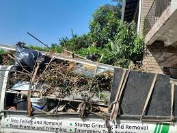 Best Shed Removal  in Twin Lake, MI